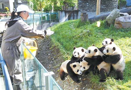 饲养员招聘_招聘信息 黑龙江养兔场招聘饲养员(3)